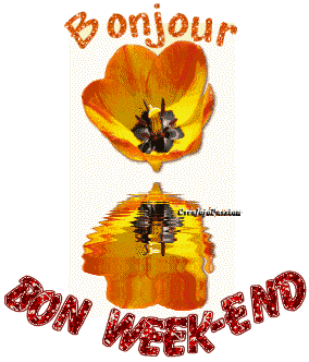 bonjour vip-blpg